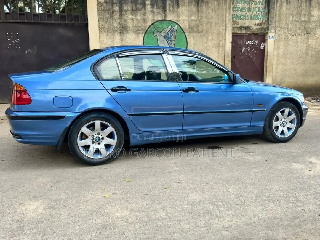 BMW 3 Series 2009 Blue