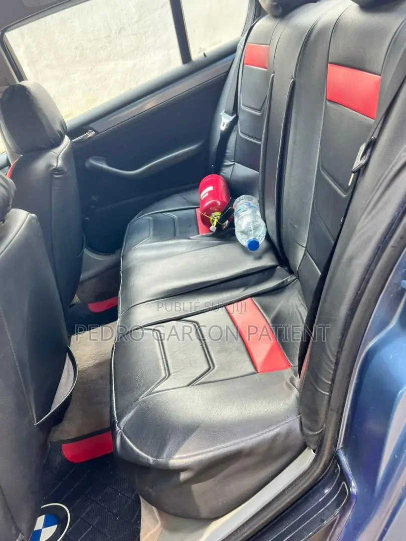 BMW 3 Series 2009 Blue