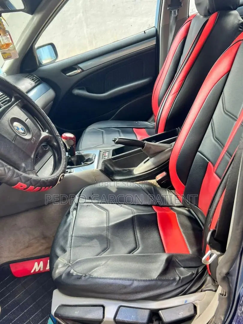 BMW 3 Series 2009 Blue