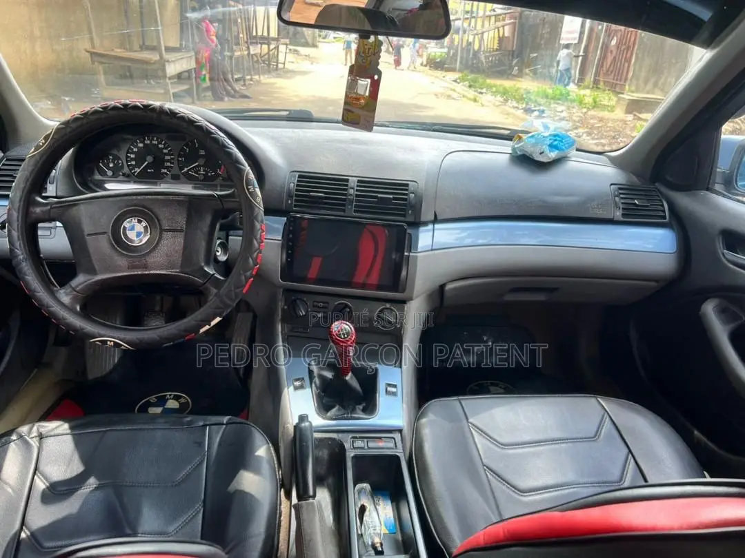 BMW 3 Series 2009 Blue