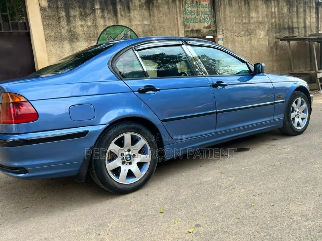 BMW 3 Series 2009 Blue