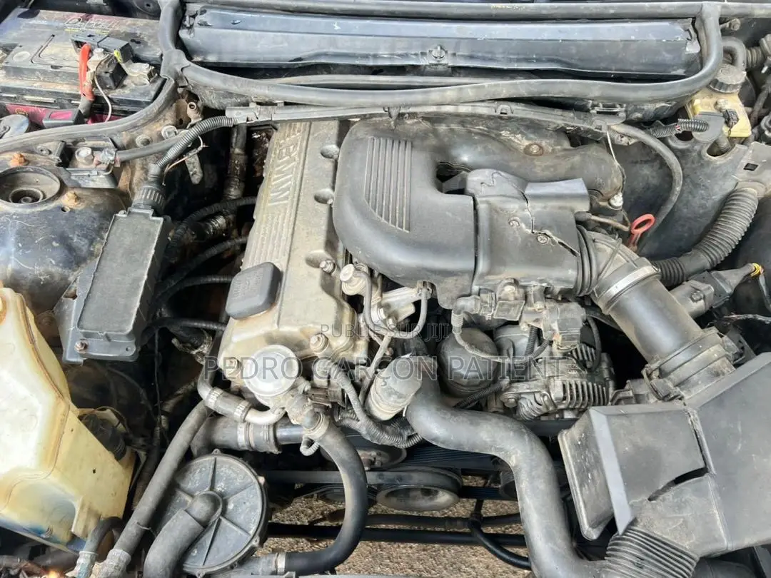 BMW 3 Series 2009 Blue