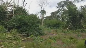 Photo - Moutcho Terrain 168 Ha À Vendre