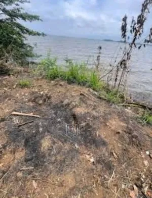 Photo - Terrain Avec Acd À Songon