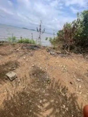 Terrain Avec Acd À Songon