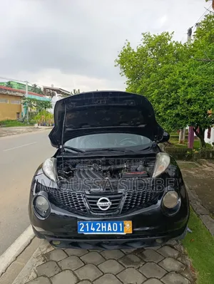 Nissan Juke 2013 Gris