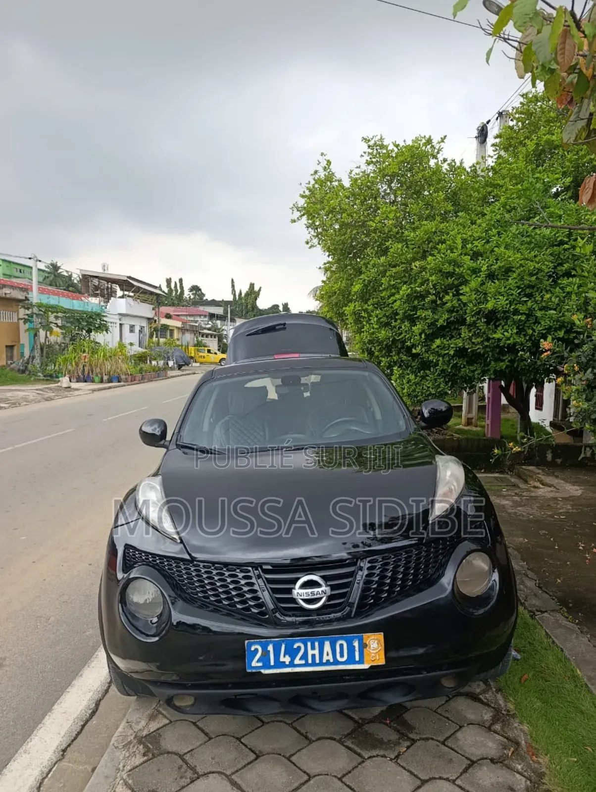 Nissan Juke 2013 Gris