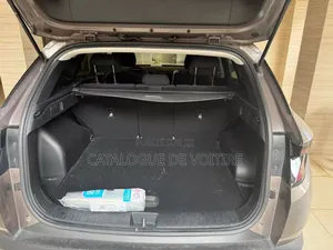 Hyundai Tucson 2021 Marron