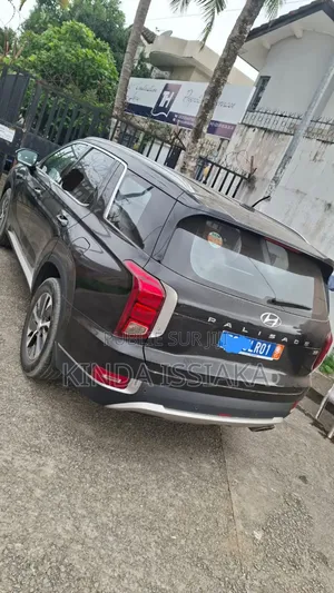 Hyundai Palissade Limited 2023 Gris