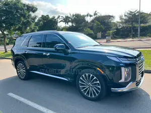 Hyundai Palissade Calligraphy AWD 2025 Vert