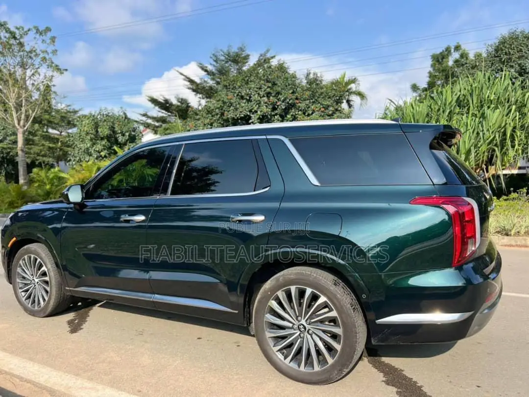 Hyundai Palissade Calligraphy AWD 2025 Vert