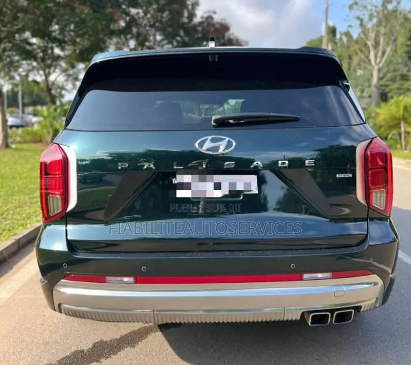 Hyundai Palissade Calligraphy AWD 2025 Vert
