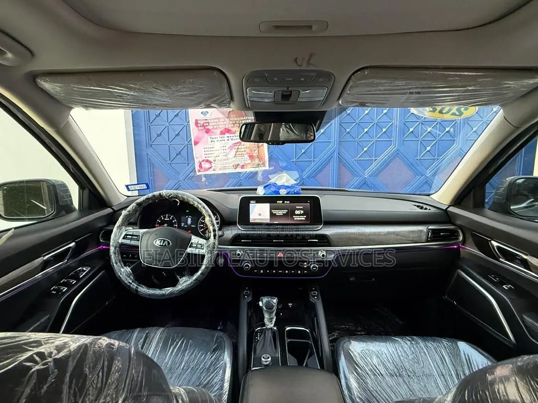 Kia Telluride 3.8 AWD 2020 Gris