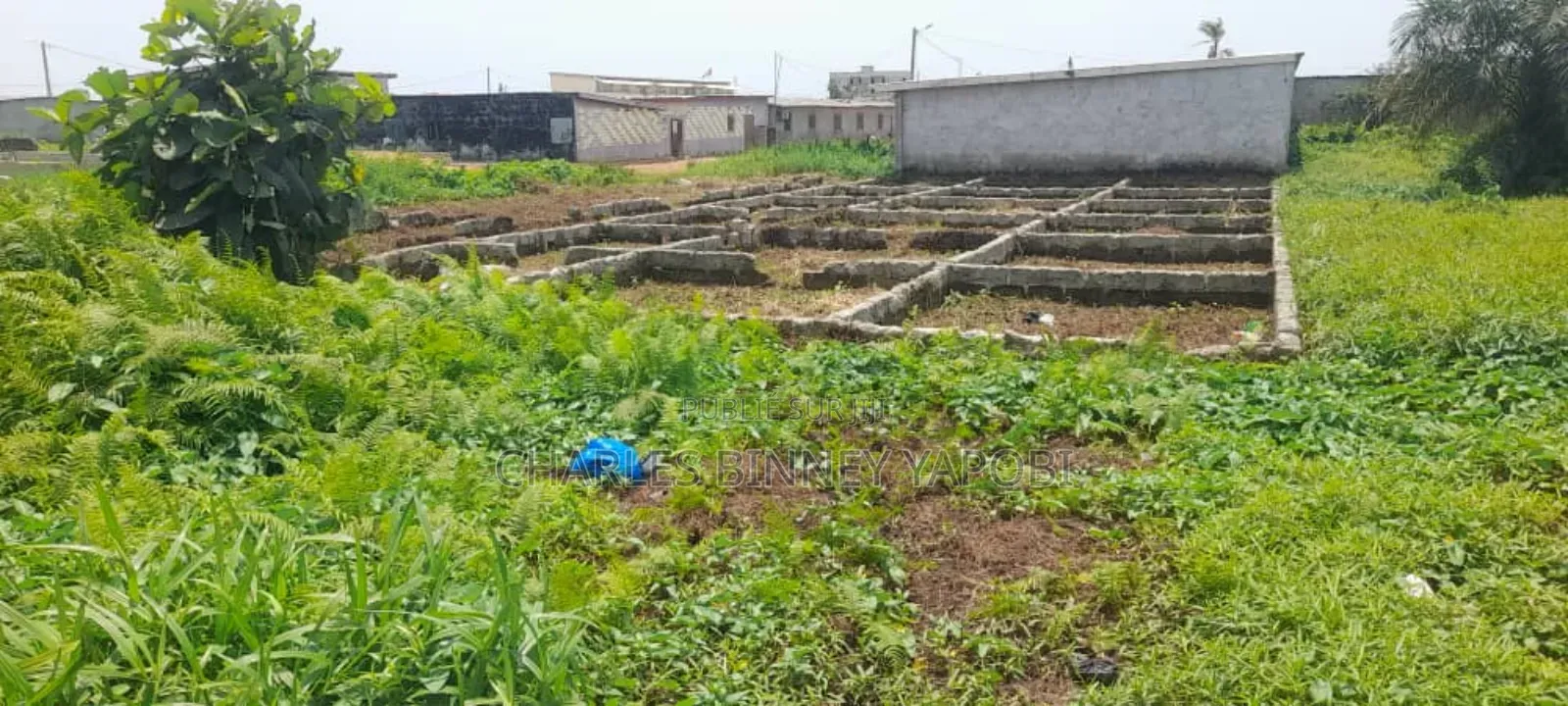 Terrain De 250m2 en Vente a Gonzagueville