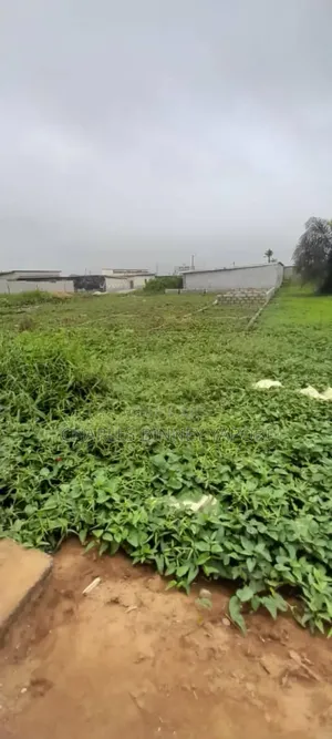 Terrain De 250m2 en Vente a Gonzagueville