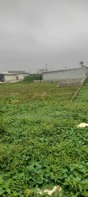 Terrain De 250m2 en Vente a Gonzagueville