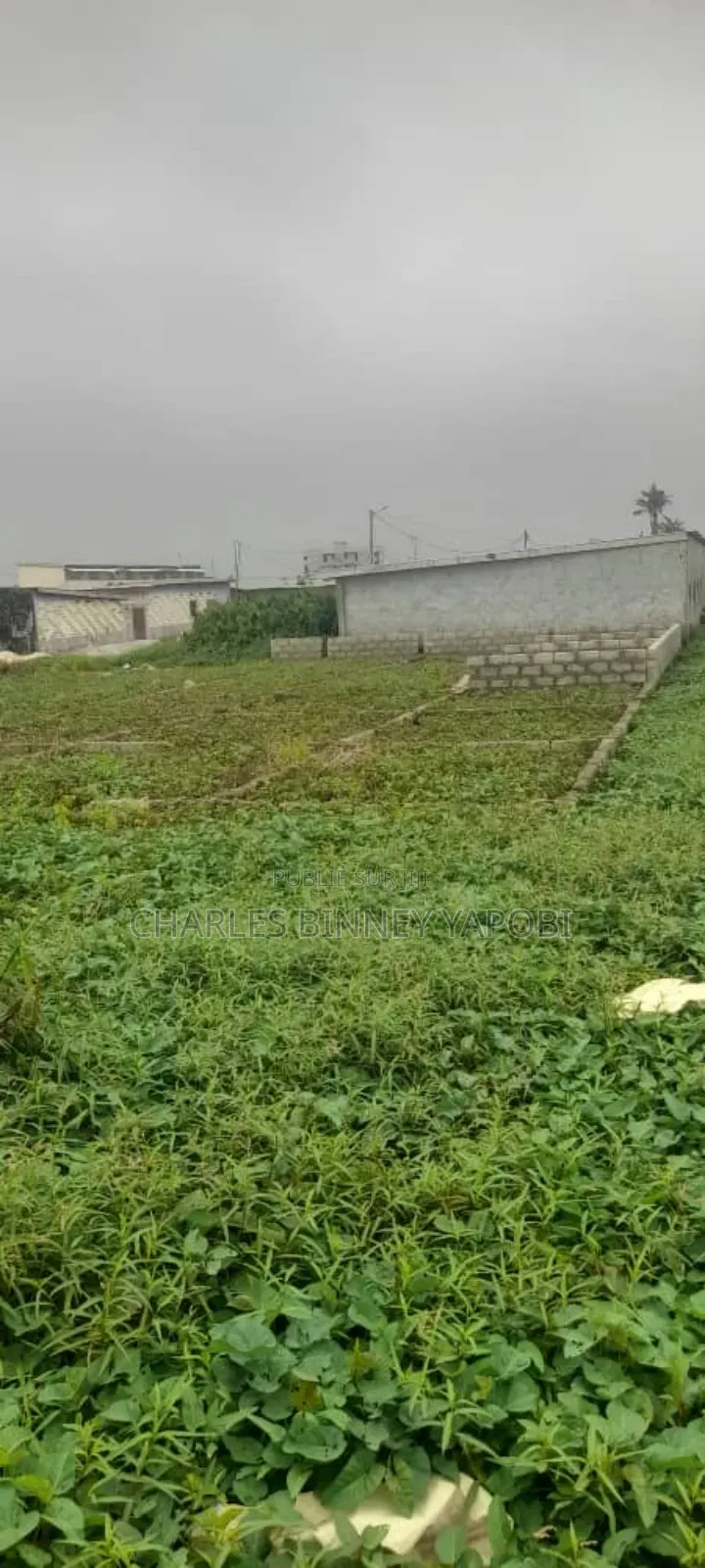 Terrain De 250m2 en Vente a Gonzagueville