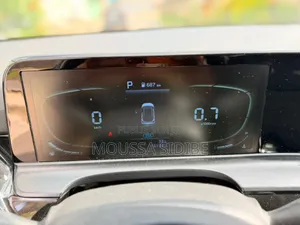 Kia Seltos 2024 Blue