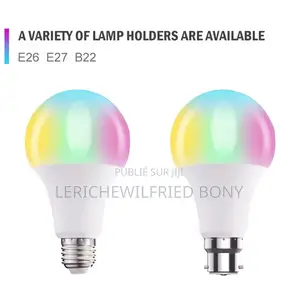 Ampoule RGBW Ir Telecommande