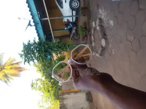 Lunettes De Soleil Photogray Simple