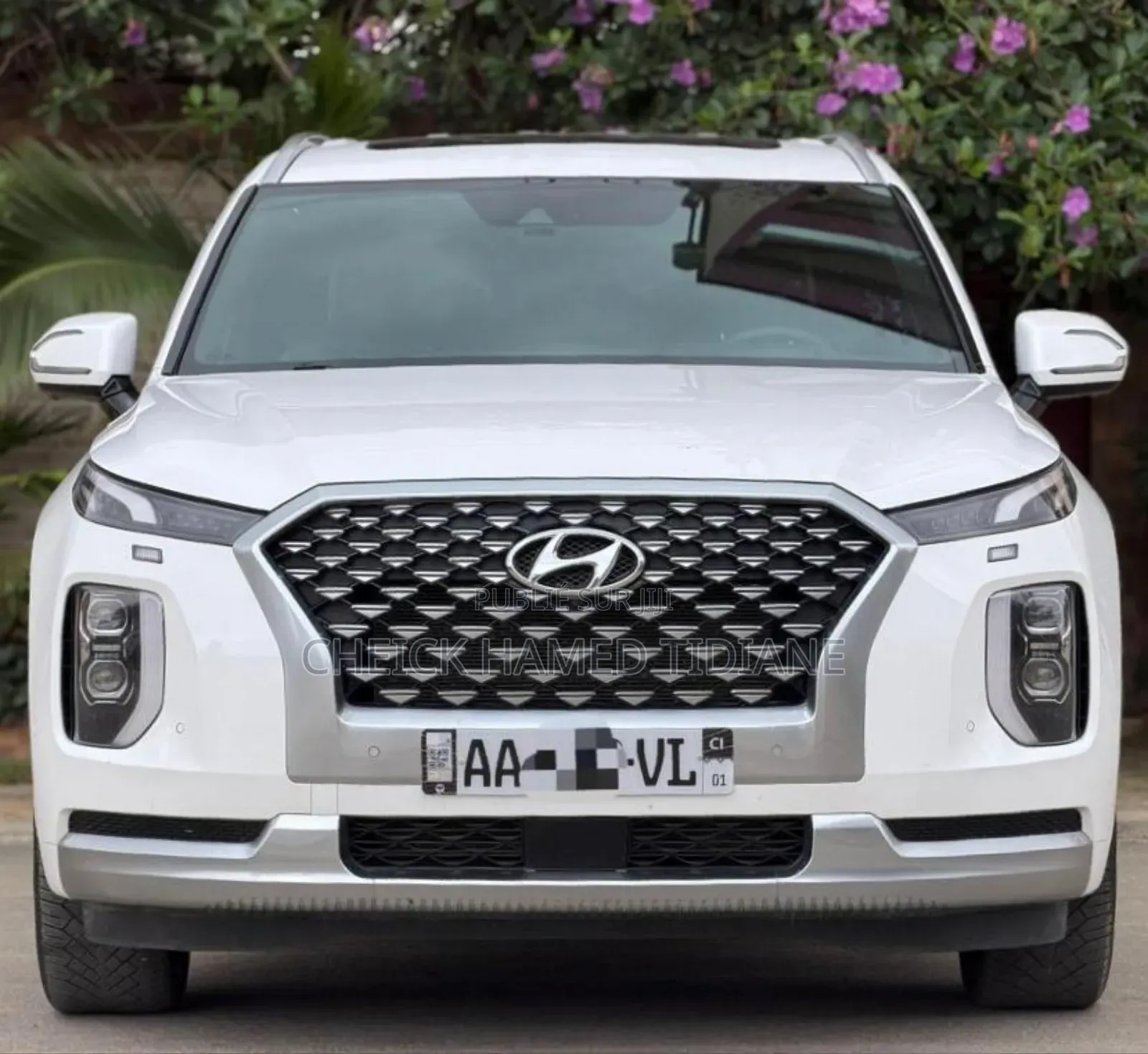 Hyundai Palissade Calligraphy 2022 Blanc