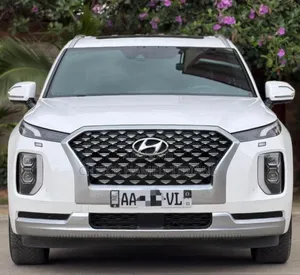 Photo - Hyundai Palissade Calligraphy 2022 Blanc