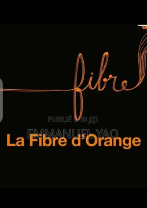 Fibre Optique Orange, Internet Illimité