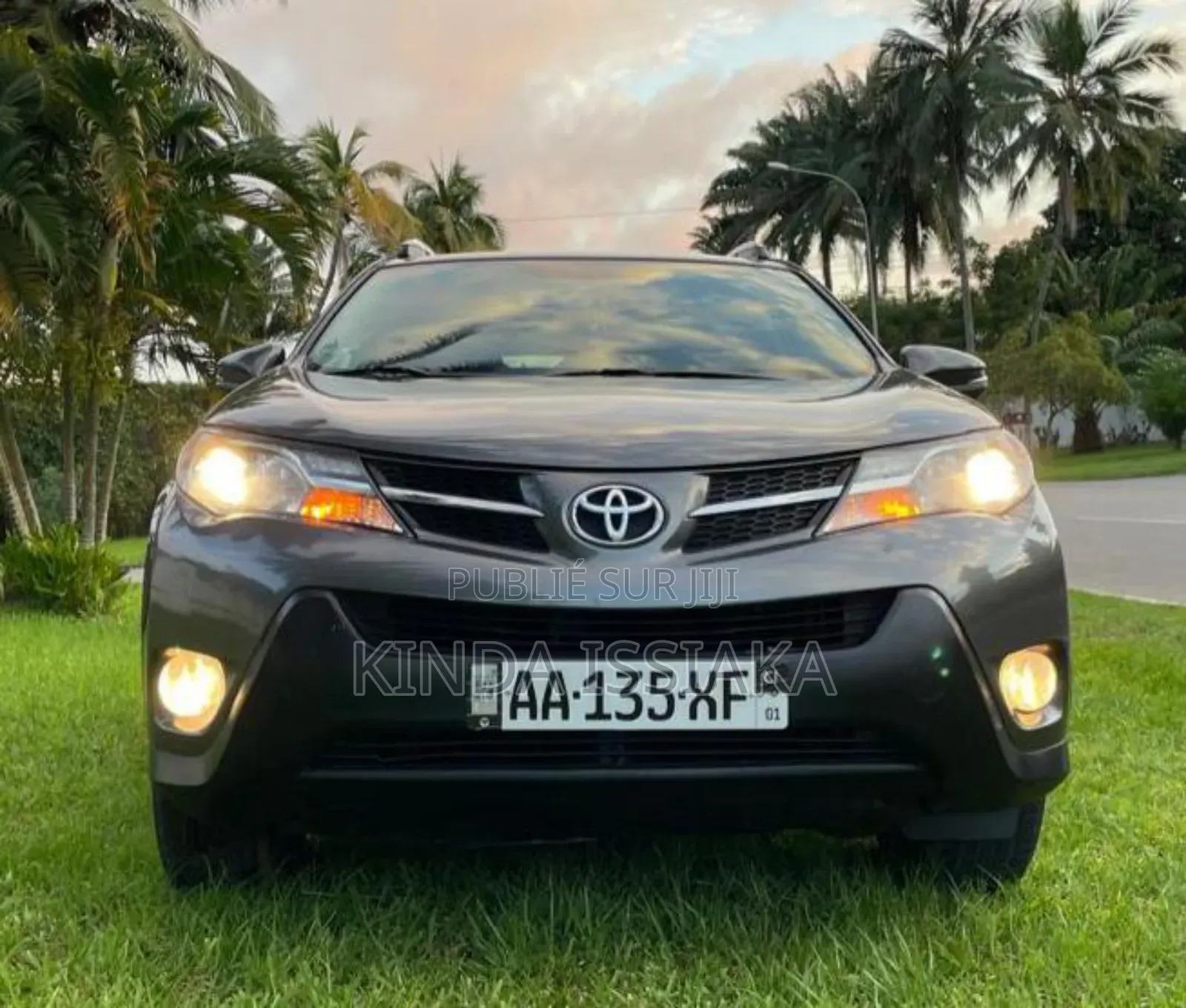 Toyota RAV4 XLE 4dr SUV (2.5L 4cyl 6A) 2014 Vert