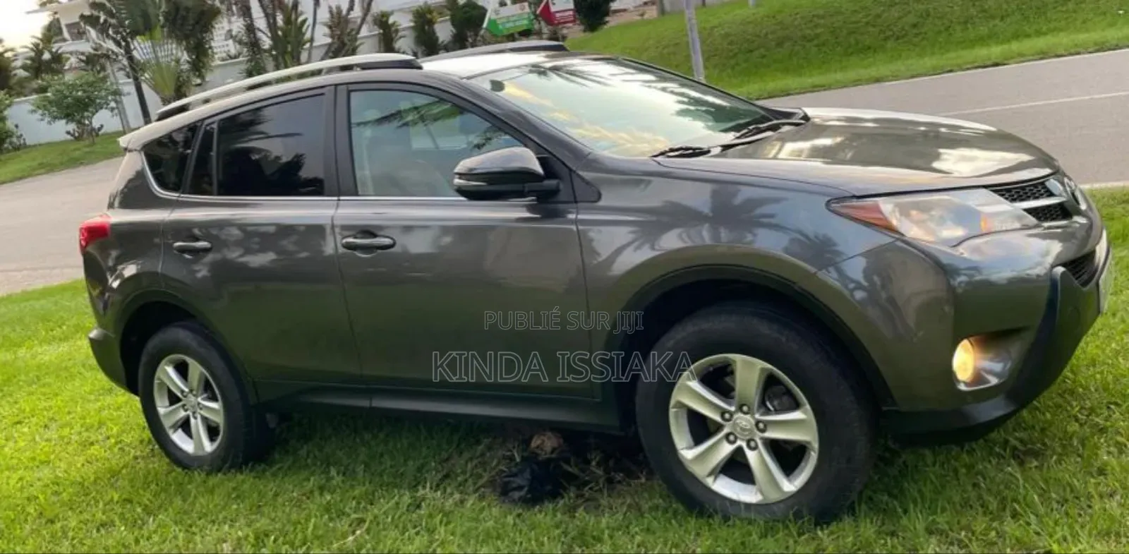 Toyota RAV4 XLE 4dr SUV (2.5L 4cyl 6A) 2014 Vert