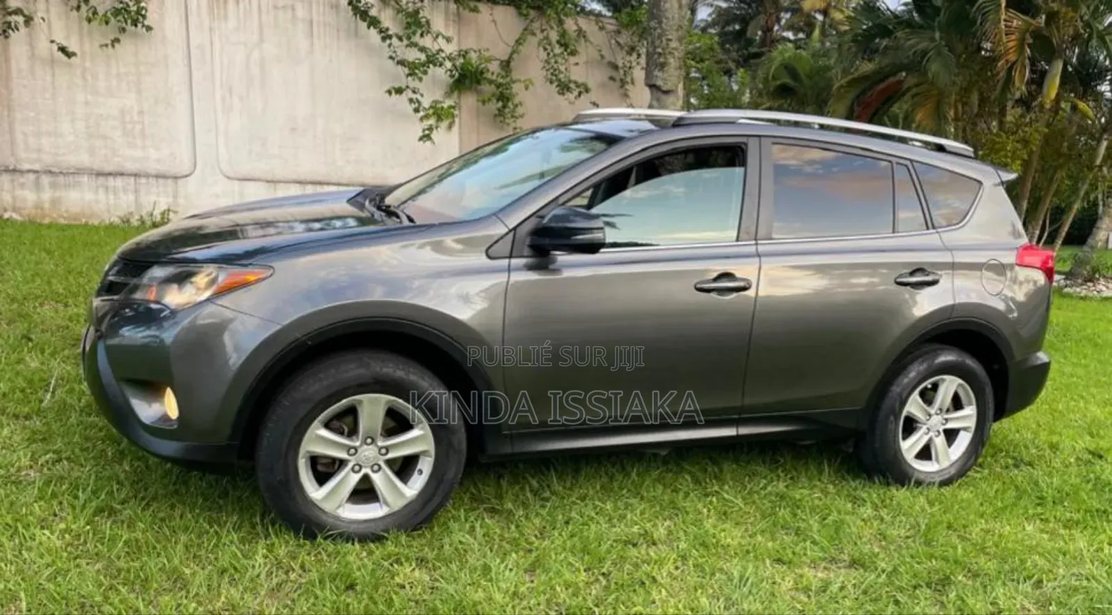 Toyota RAV4 XLE 4dr SUV (2.5L 4cyl 6A) 2014 Vert