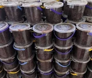 Photo - Savon Noir Nigérien Nettoyant