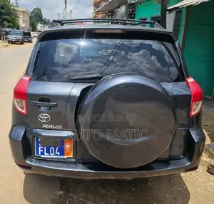 Toyota RAV4 2007 Gris