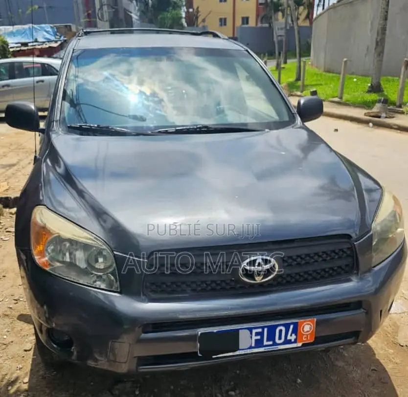 Toyota RAV4 2007 Gris