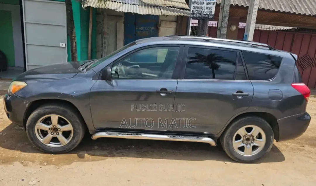 Toyota RAV4 2007 Gris