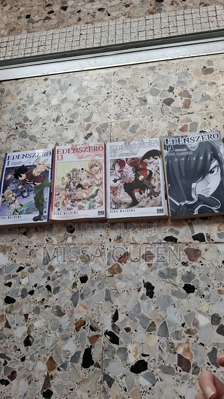 Livre Mangas