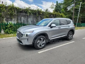 Photo - New Hyundai Santa Fe Calligraphy 2024 Gris