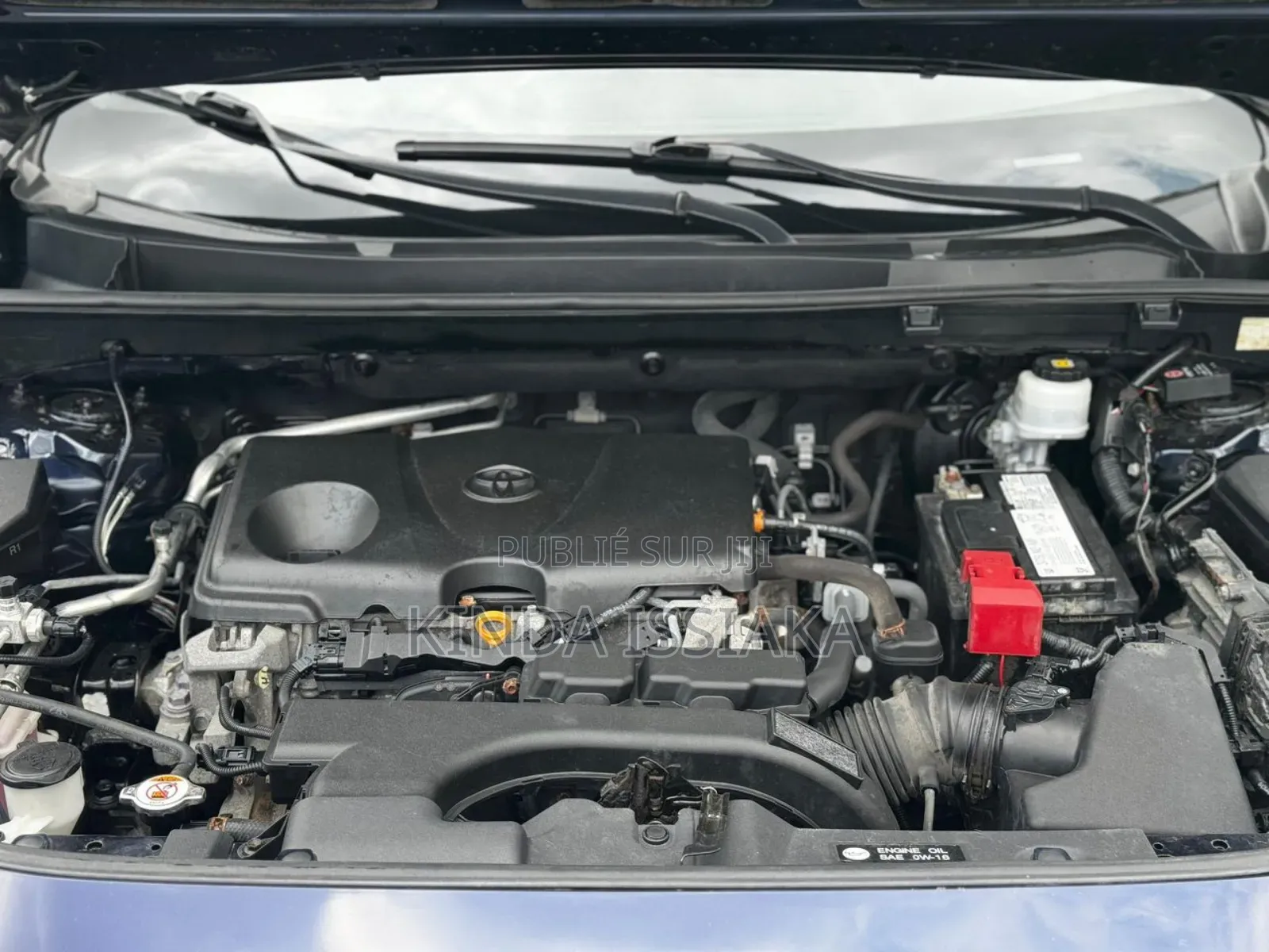 Toyota RAV4 Limited 2021 Blue