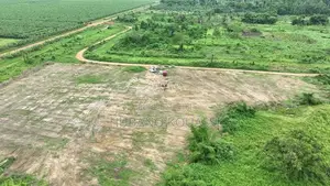 Photo - Promo Terrain Jacqueville