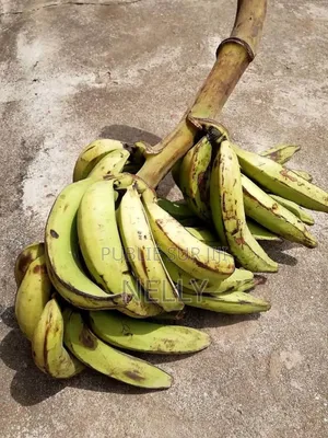 Photo - Régimes De Bananes À Bon Prix
