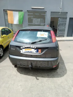 Ford Focus 2004 Gris