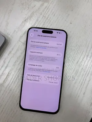 Apple iPhone 15 Pro Max 512 GB Gris