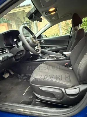 Hyundai Elantra 2011 Blue