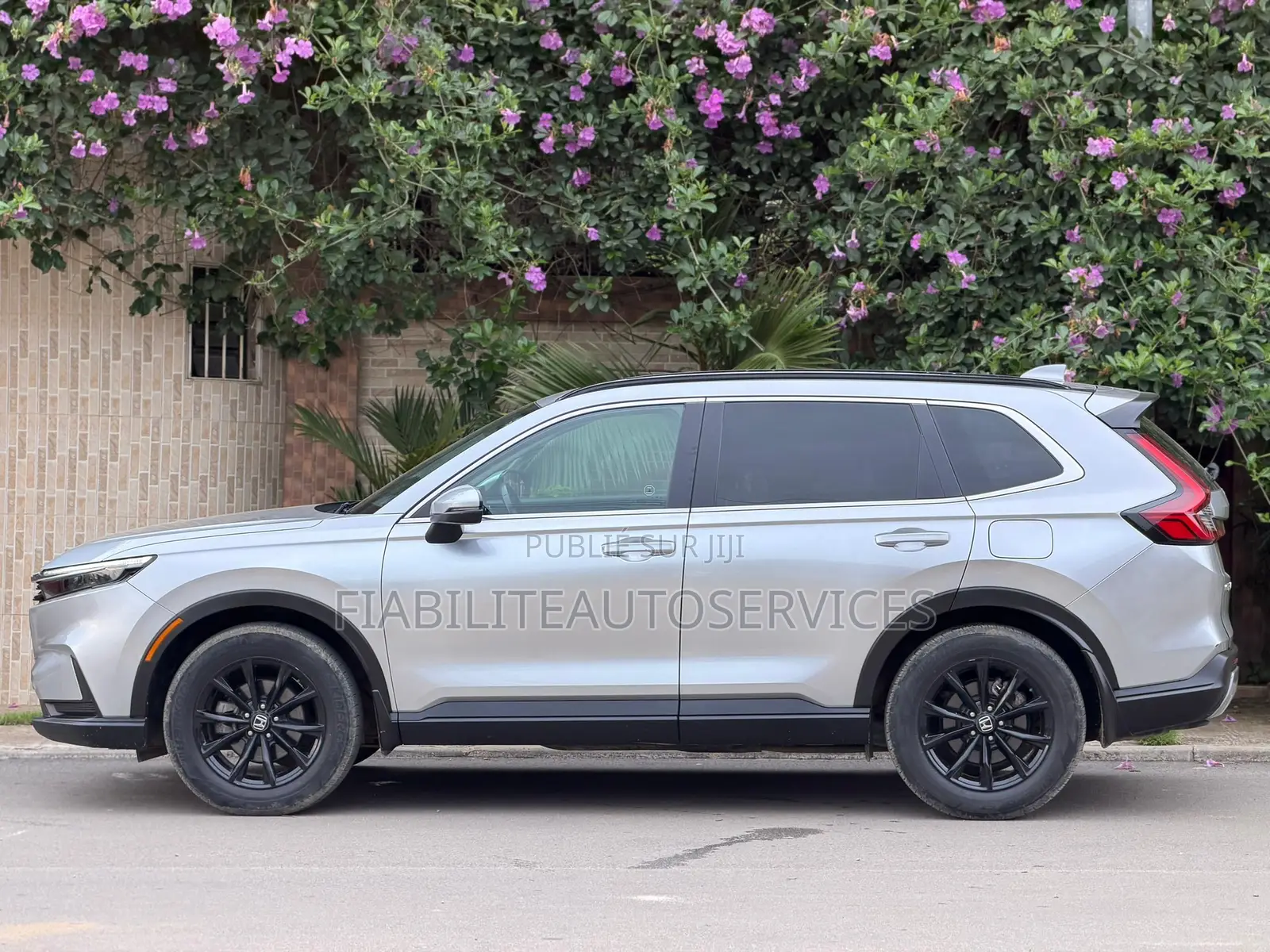 Honda CR-V EX AWD 2024 Gris