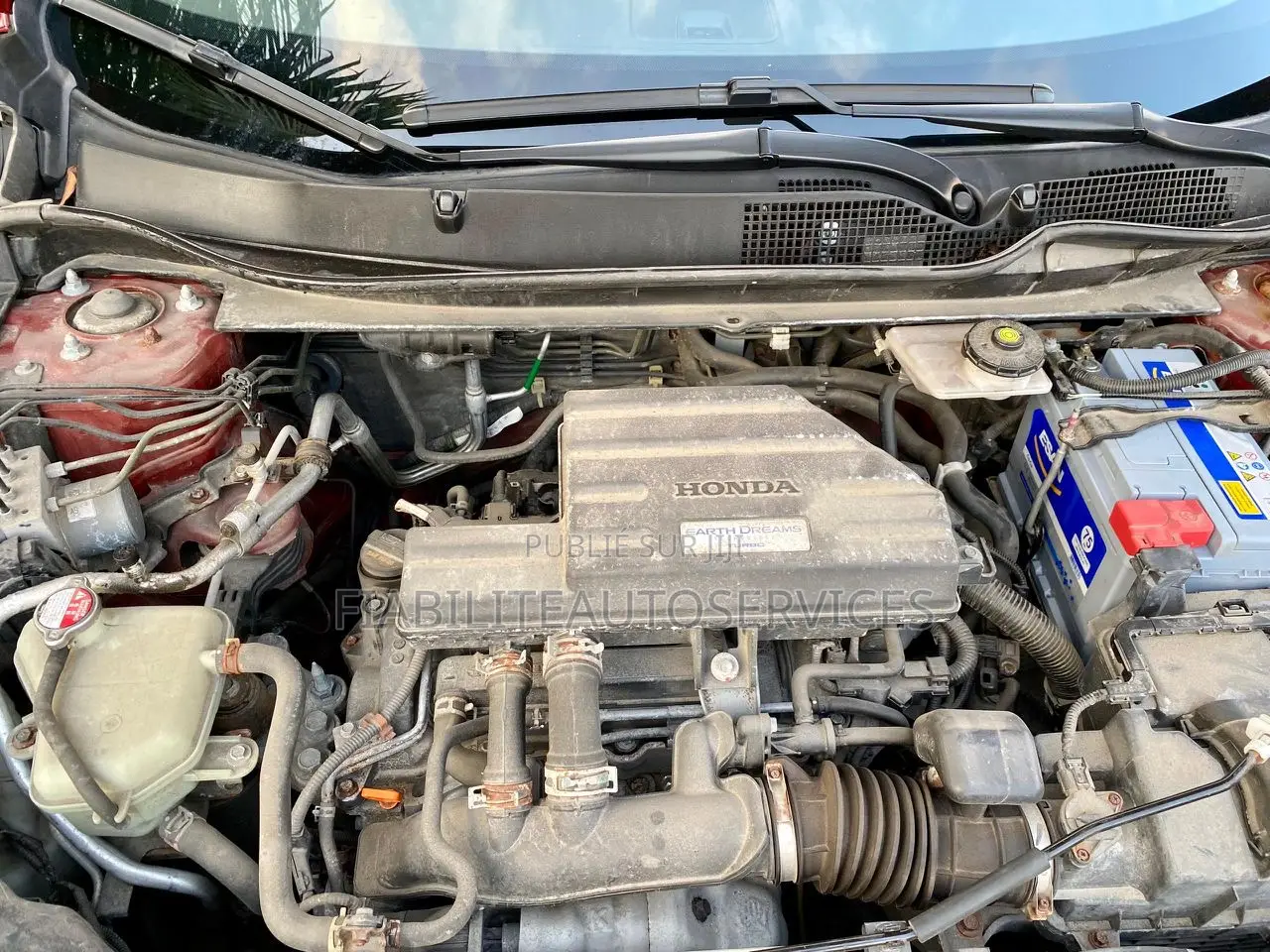 Honda CR-V EX AWD 2019 Rouge