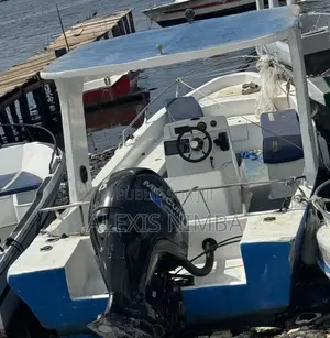 Bateau Plaisance Ou Transport Polyester Moteur 150cv Mercury