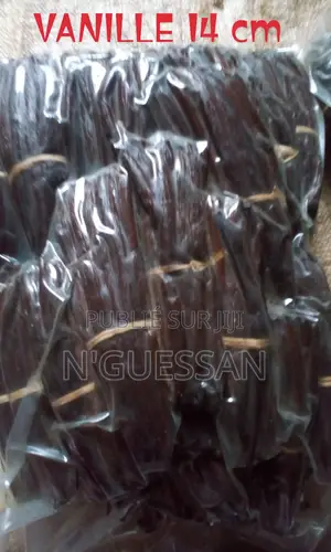Photo - 5 Tonnes De Vanille Sèche De 14 Cm Et Plus