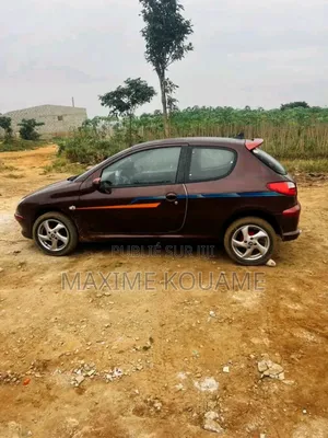 Photo - Peugeot 206 2000 Gris