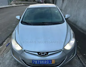 Photo - Hyundai Elantra 2016 Gris