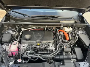New Toyota RAV4 2022 Gris