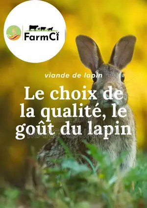Photo - Vente De Lapin